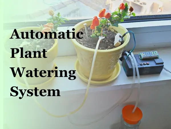 automatic plant watering system